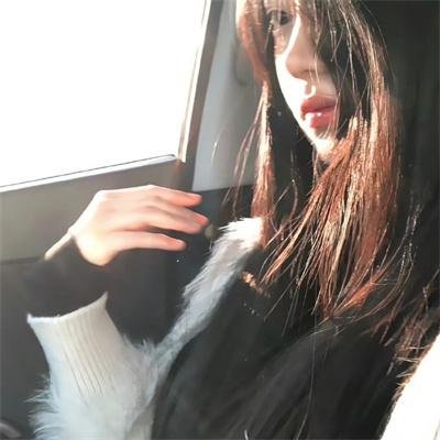 菜鸟老警第二季